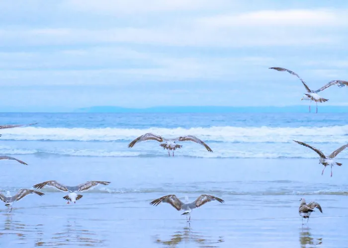 Holiday home Eenvoudig Zomerhuisje Back To The 70's - Aan Zee Callantsoog