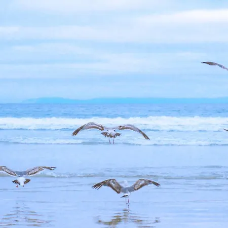 Casa de Férias Eenvoudig Zomerhuisje Back To The 70's - Aan Zee Callantsoog