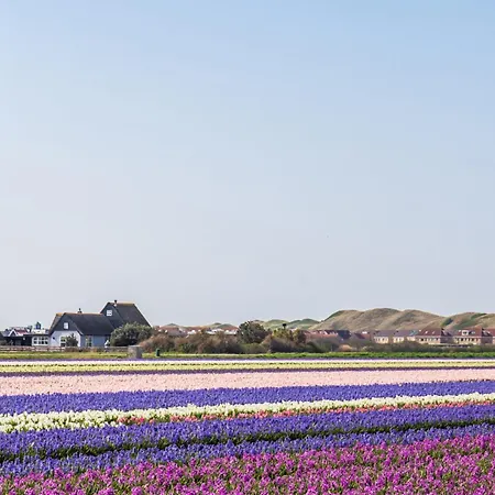 Eenvoudig Zomerhuisje Back To The 70's - Aan Zee Casa de Férias *